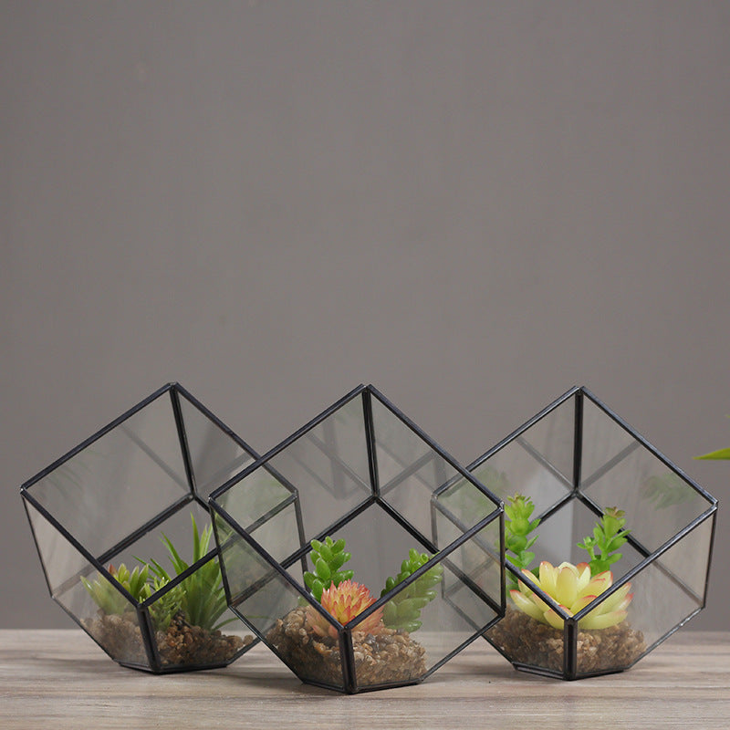 Oblique Square Small Glass Greenhouse Transparent Plant Flowerpot